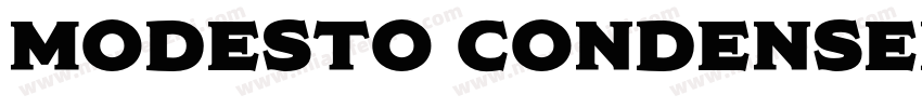 Modesto CondensedVer字体转换
